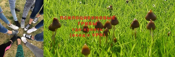 прущая мука Абинск