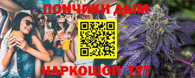крисы Гагарин
