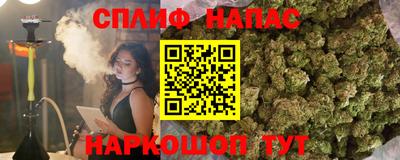 крисы Гагарин