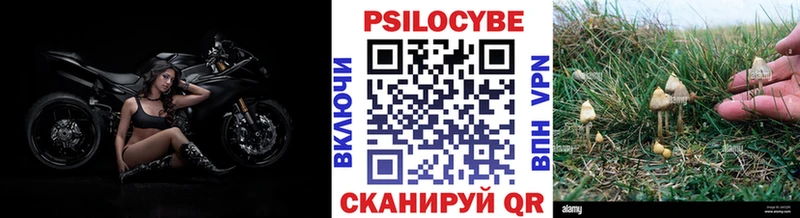 цена наркотик  мега рабочий сайт  Псилоцибиновые грибы Magic Shrooms  Донецк 
