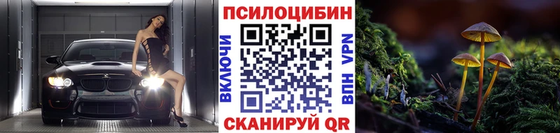 Галлюциногенные грибы Psilocybine cubensis Донецк