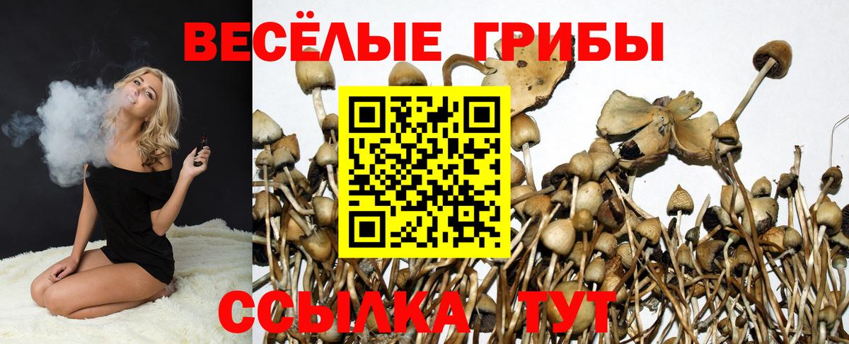 Галлюциногенные грибы Magic Shrooms Донецк