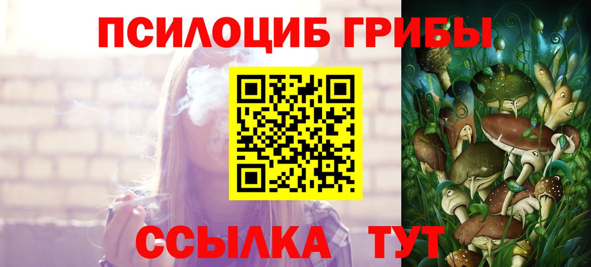 Донецк  Галлюциногенные грибы Psilocybe  Вход с VPN 